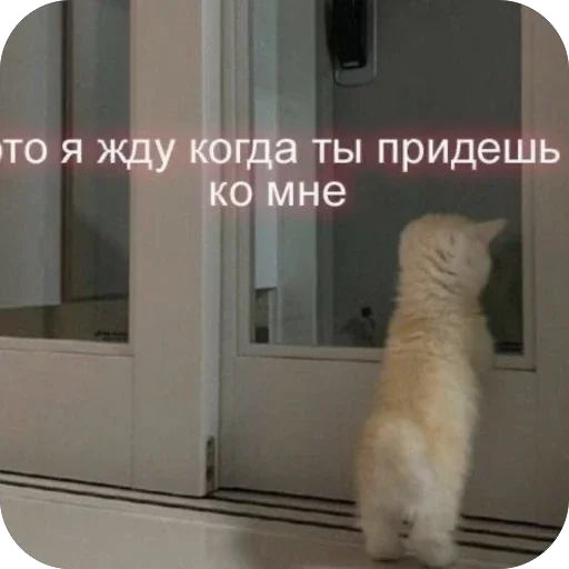 🫥 Стикер «Я666» для Telegram