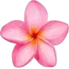 Стикер 61 Pink #colors #pink #cute