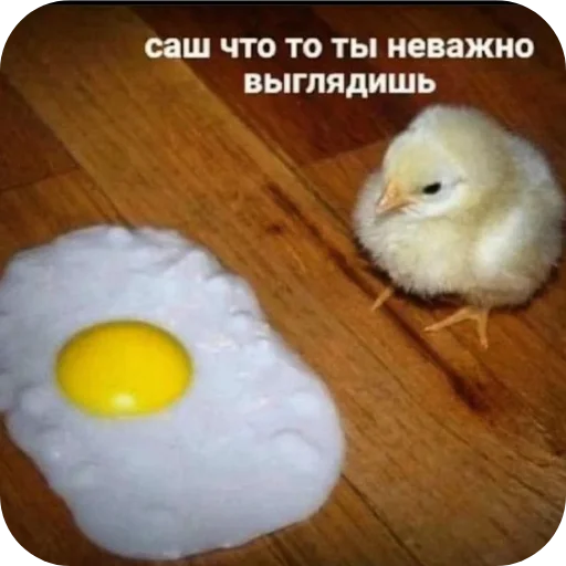 🐦 Стикер «я гениальна, не напоминайте» для Telegram