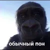 Стикер 47 типа лол