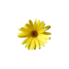 Стикер 9 Yellow emoji - жёлтые