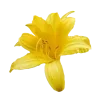 Стикер 10 Yellow emoji - жёлтые
