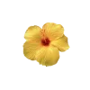 Стикер 8 Yellow emoji - жёлтые
