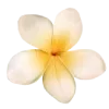 Стикер 5 Yellow emoji - жёлтые