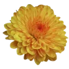 Стикер 12 Yellow emoji - жёлтые