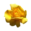 Стикер 11 Yellow emoji - жёлтые