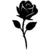 Стикер 30 Calvariae