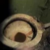 Стикер 43 Зелёный Слоник