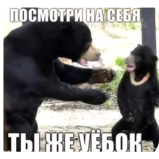 🖼 Стикер «Zатруднительно» для Telegram