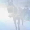 Стикер 46 Жириновский