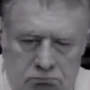 Стикер 32 Жириновский