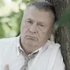Стикер 20 Жириновский