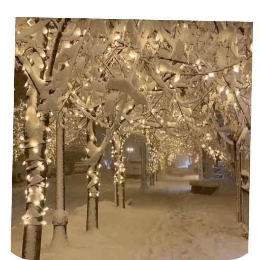 ❄ Стикер «Зимний вайб» для Telegram