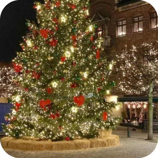 🎄 Стикер «Зимний вайб» для Telegram
