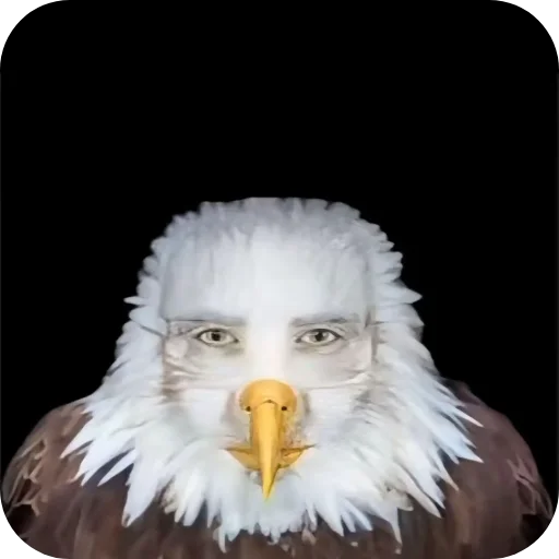 🐦 Стикер «Zovkinnnnn Stickers Goida» для Telegram