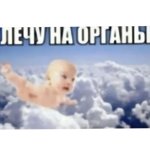 🖼 Стикер «Zovkinnnnn Stickers Goida» для Telegram