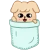 Стикер 18 🐶 Зверюшки
