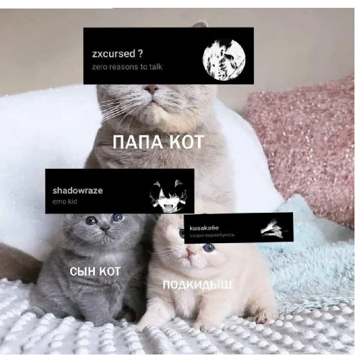 🤕 Стикер «zxc» для Telegram