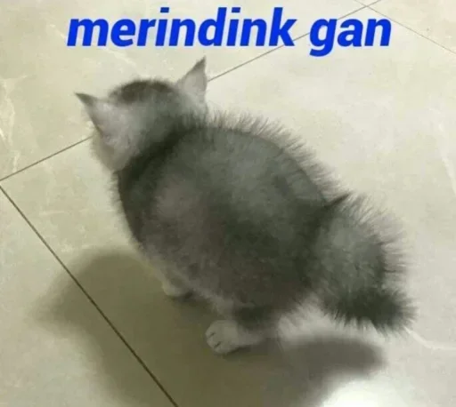 😁 Стикер «kang pack Vol.1» для Telegram