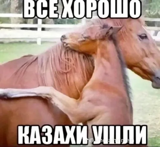 🤩 Стикер «ААААААААА, РЕДДИТ!!!» для Telegram