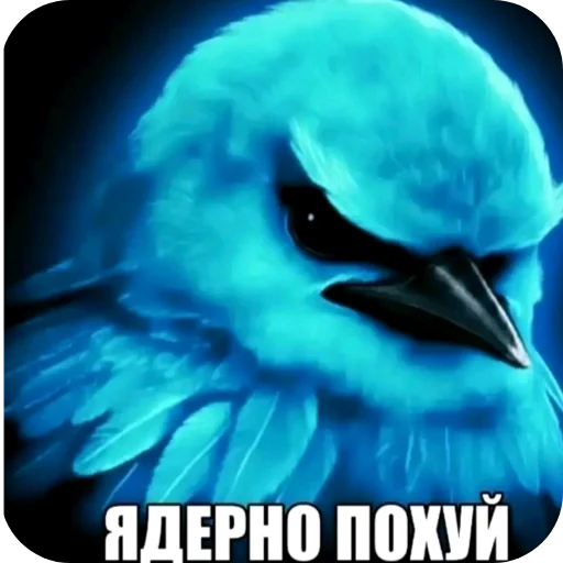 🖼 Стикер «ÐÐ±Ð°ÑÐ´Ð½Ð° ð°» для Telegram