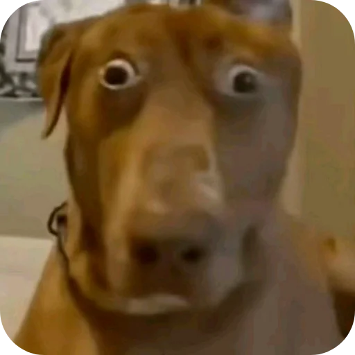 🐶 Стикер «ÐÐ±Ð°ÑÐ´Ð½Ð° ð°» для Telegram