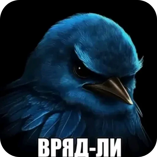 🐦 Стикер «ÐÐ±Ð°ÑÐ´Ð½Ð° ð°» для Telegram
