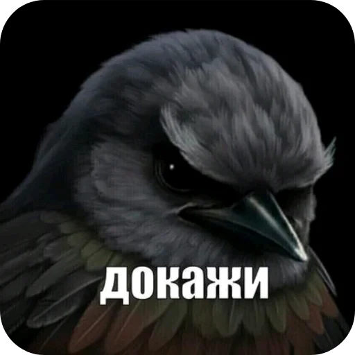 🐦 Стикер «ÐÐ±Ð°ÑÐ´Ð½Ð° ð°» для Telegram