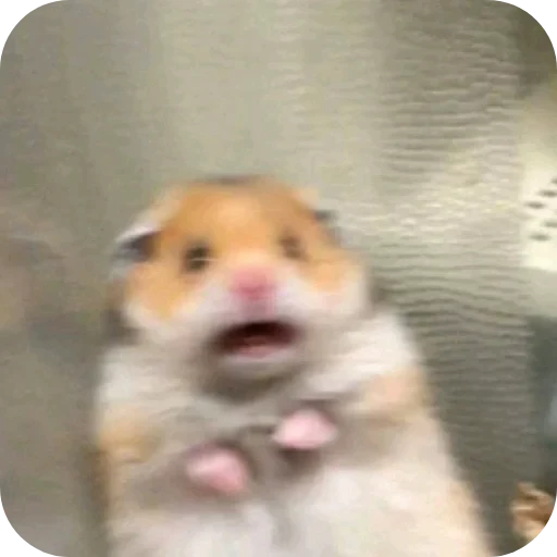 🤲 Стикер «ÐÐ±Ð°ÑÐ´Ð½Ð° ð°» для Telegram