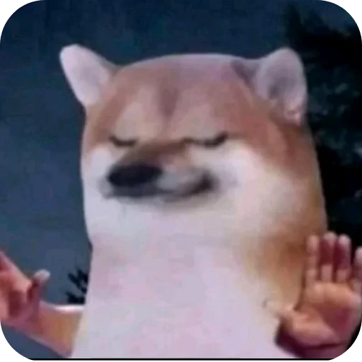 ✋ Стикер «ÐÐ±Ð°ÑÐ´Ð½Ð° ð°» для Telegram