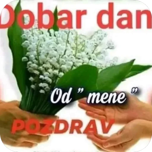 🪧 Стикер «Abiba» для Telegram