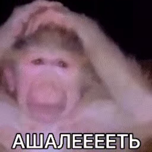 🌟 Стикер «Abiba» для Telegram