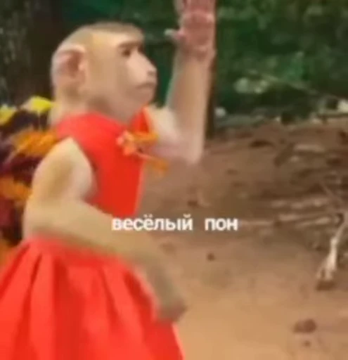 💫 Стикер «abizyani» для Telegram