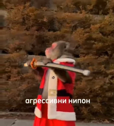 💫 Стикер «abizyani» для Telegram