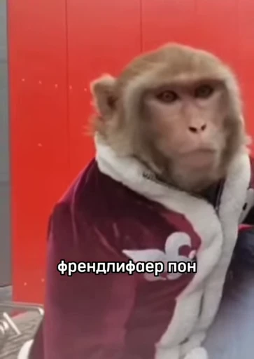 💫 Стикер «abizyani» для Telegram