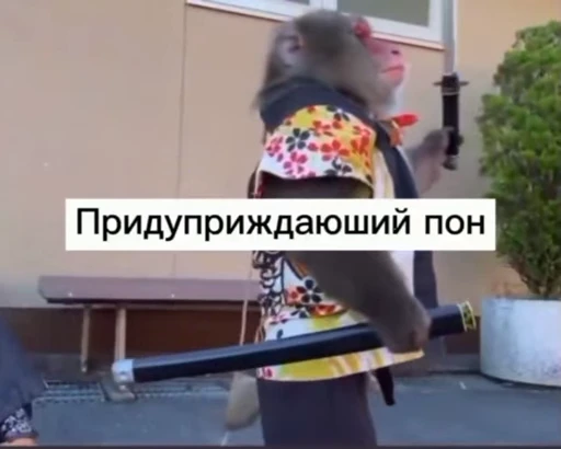 💫 Стикер «abizyani» для Telegram