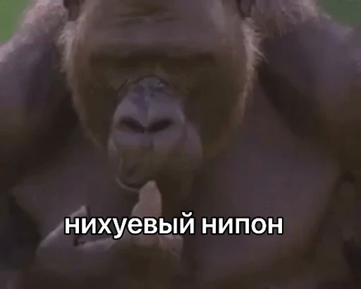 Стикерпак abizyani для Telegram