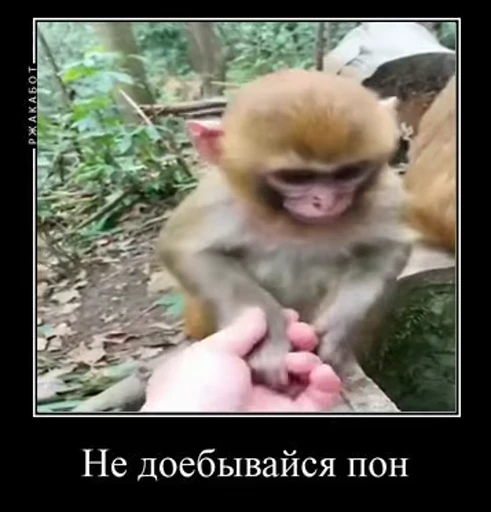 💫 Стикер «abizyani» для Telegram
