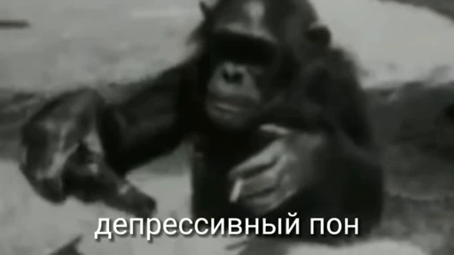 💫 Стикер «abizyani» для Telegram