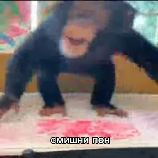 💫 Стикер «abizyani» для Telegram
