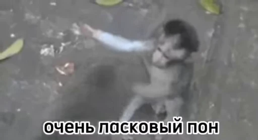 💫 Стикер «abizyani» для Telegram