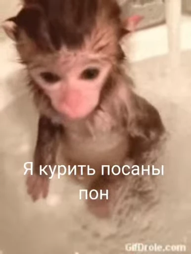💫 Стикер «abizyani» для Telegram