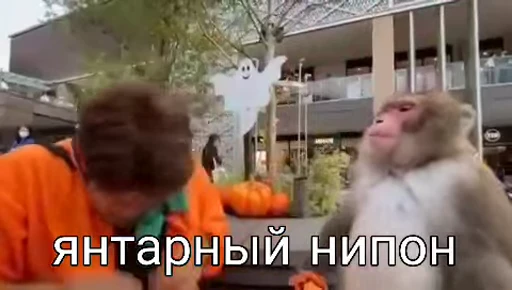 💫 Стикер «abizyani» для Telegram