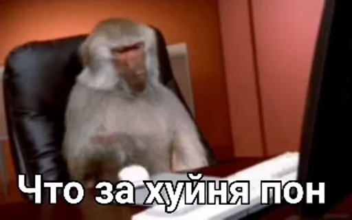 💫 Стикер «abizyani» для Telegram