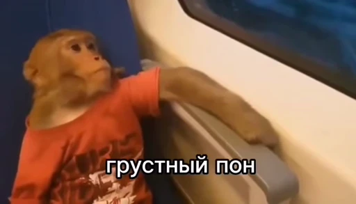💫 Стикер «abizyani» для Telegram