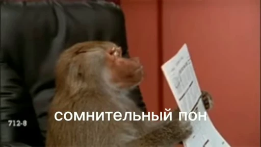 💫 Стикер «abizyani» для Telegram