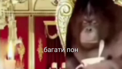 💫 Стикер «abizyani» для Telegram