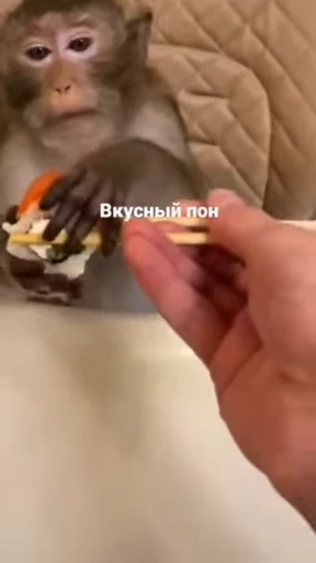 💫 Стикер «abizyani» для Telegram