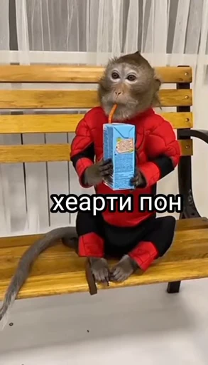 💫 Стикер «abizyani» для Telegram