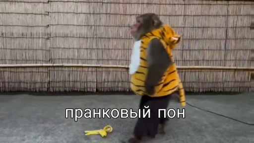 💫 Стикер «abizyani» для Telegram